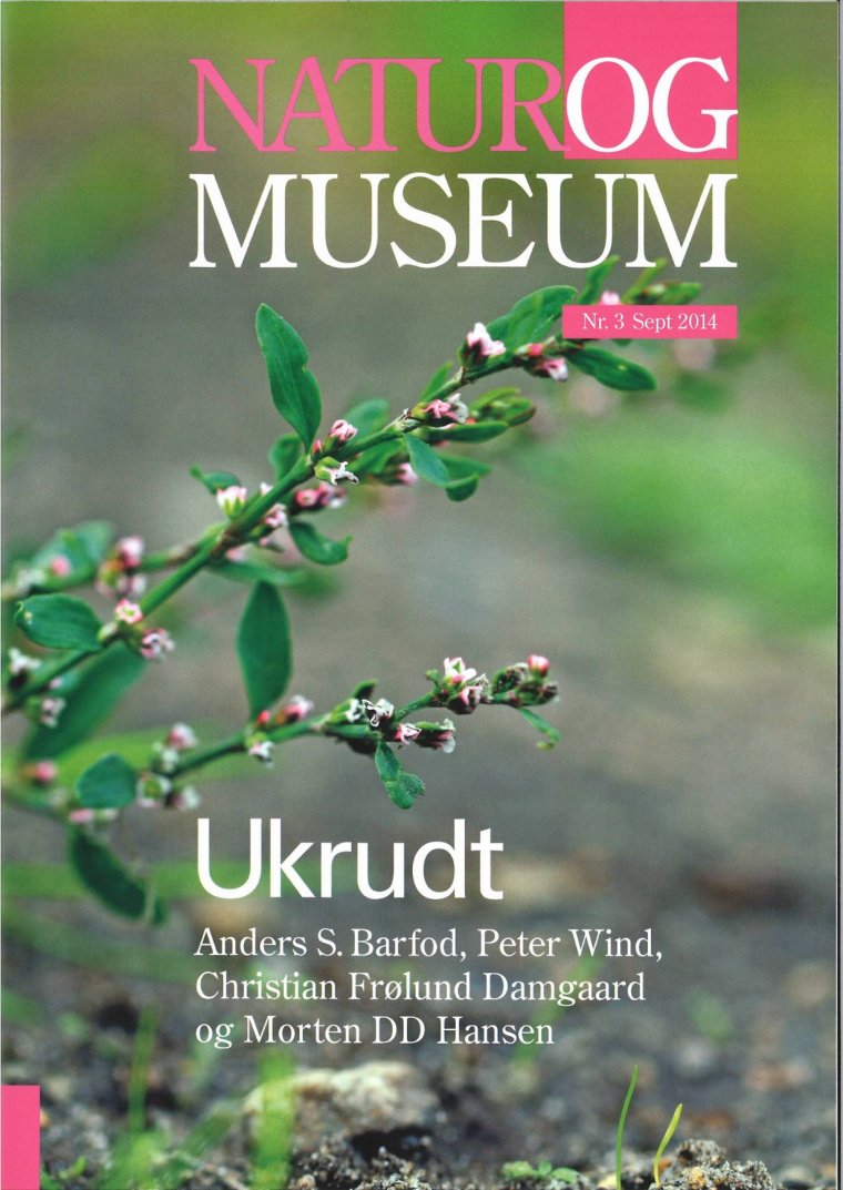 Ukrudt